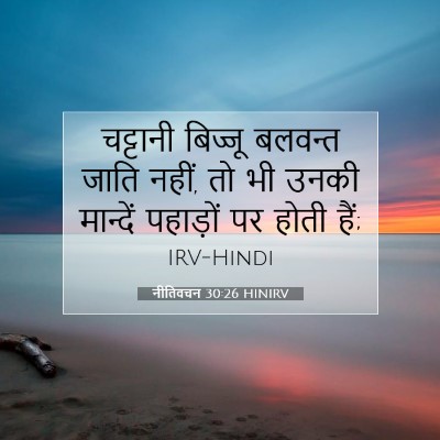 नीतिवचन 30:26 बाइबल आयत की व्याख्या