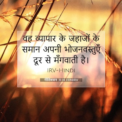 नीतिवचन 31:14 बाइबल आयत की व्याख्या