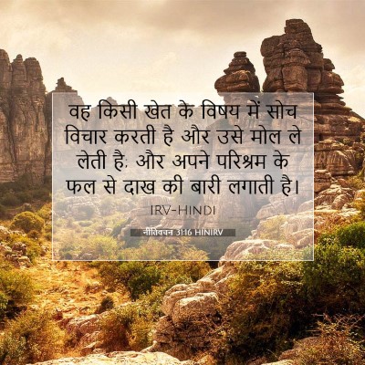 नीतिवचन 31:16 बाइबल आयत की व्याख्या