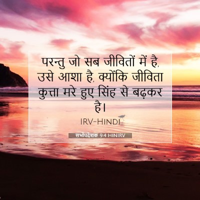 सभोपदेशक 9:4 बाइबल आयत की व्याख्या