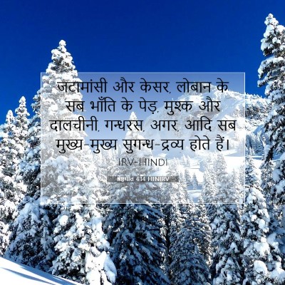 श्रेष्ठगीत 4:14 बाइबल आयत की व्याख्या