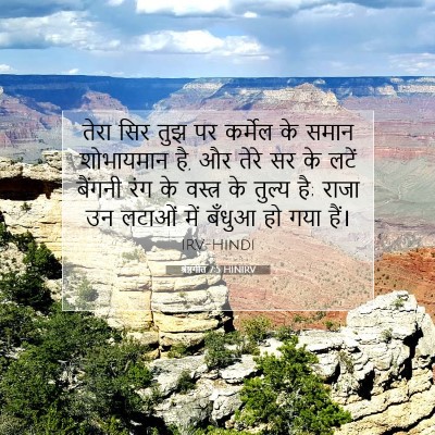 श्रेष्ठगीत 7:5 बाइबल आयत की व्याख्या