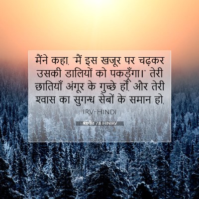 श्रेष्ठगीत 7:8 बाइबल आयत की व्याख्या