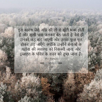 यशायाह 5:24 HINIRV बाइबल आयत इमेज
