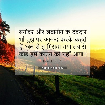 यशायाह 14:8 बाइबल आयत की व्याख्या
