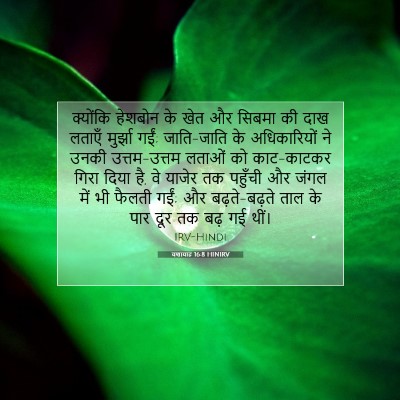 यशायाह 16:8 बाइबल आयत की व्याख्या