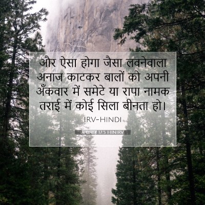 यशायाह 17:5 बाइबल आयत की व्याख्या