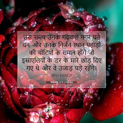 यशायाह 17:9 बाइबल आयत की व्याख्या