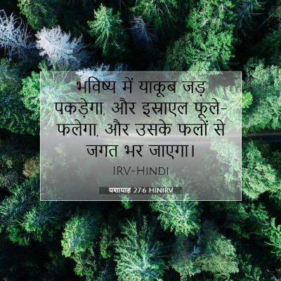 यशायाह 27:6 बाइबल आयत की व्याख्या