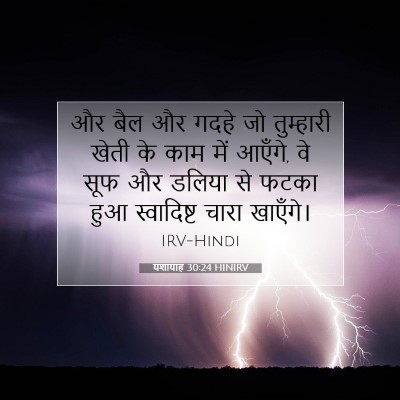 यशायाह 30:24 बाइबल आयत की व्याख्या