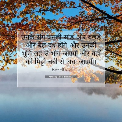 यशायाह 34:7 बाइबल आयत की व्याख्या
