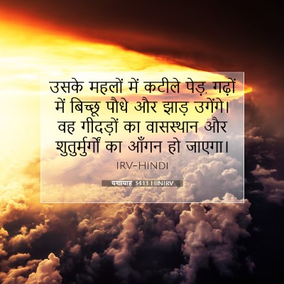 यशायाह 34:13 बाइबल आयत की व्याख्या