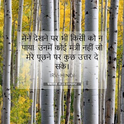 यशायाह 41:28 बाइबल आयत की व्याख्या