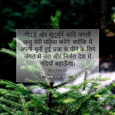 यशायाह 43:20 बाइबल आयत की व्याख्या