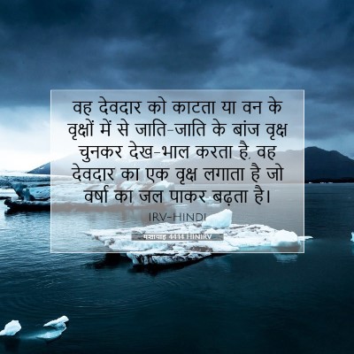 यशायाह 44:14 बाइबल आयत की व्याख्या