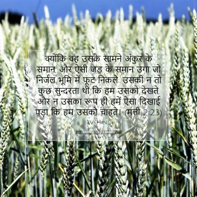 यशायाह 53:2 HINIRV बाइबल आयत इमेज