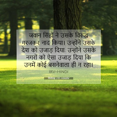 यिर्मयाह 2:15 बाइबल आयत की व्याख्या