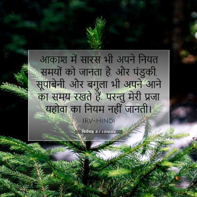 यिर्मयाह 8:7 बाइबल आयत की व्याख्या