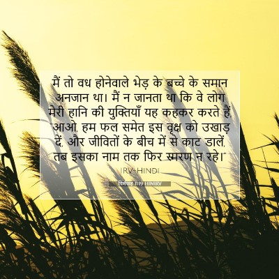 यिर्मयाह 11:19 बाइबल आयत की व्याख्या