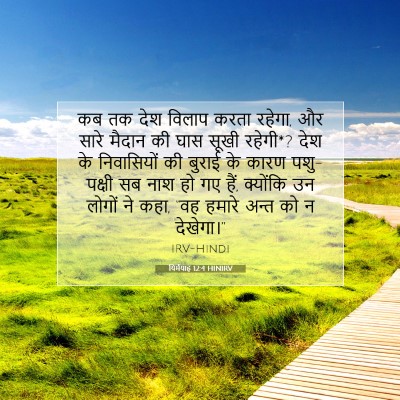 यिर्मयाह 12:4 बाइबल आयत की व्याख्या