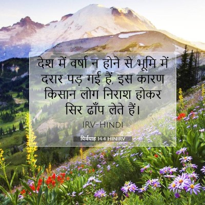 यिर्मयाह 14:4 बाइबल आयत की व्याख्या