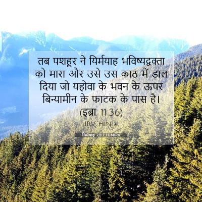 यिर्मयाह 20:2 बाइबल आयत की व्याख्या