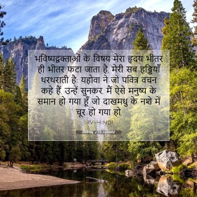 यिर्मयाह 23:9 बाइबल आयत की व्याख्या