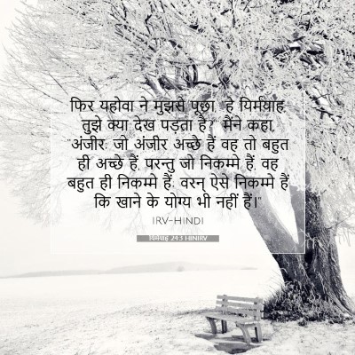यिर्मयाह 24:3 HINIRV बाइबल आयत इमेज