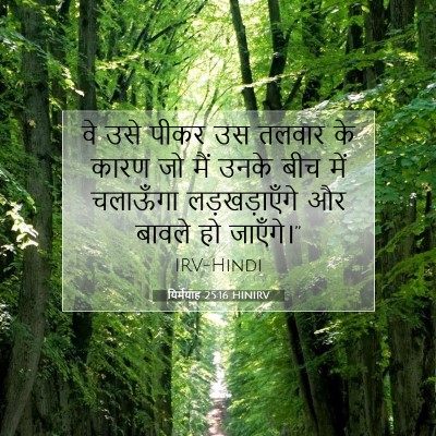 यिर्मयाह 25:16 बाइबल आयत की व्याख्या