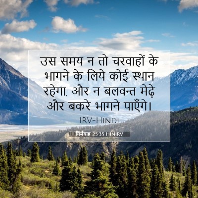 यिर्मयाह 25:35 बाइबल आयत की व्याख्या