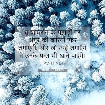 यिर्मयाह 31:5 बाइबल आयत की व्याख्या