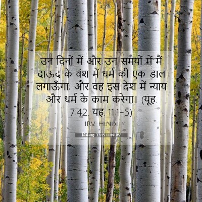 यिर्मयाह 33:15 बाइबल आयत की व्याख्या