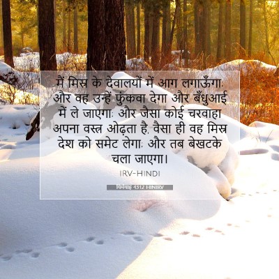 यिर्मयाह 43:12 बाइबल आयत की व्याख्या