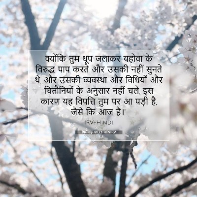 यिर्मयाह 44:23 बाइबल आयत की व्याख्या