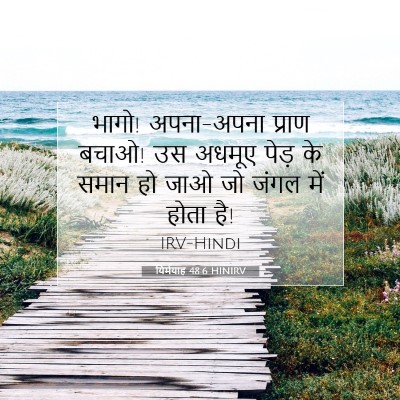 यिर्मयाह 48:6 बाइबल आयत की व्याख्या