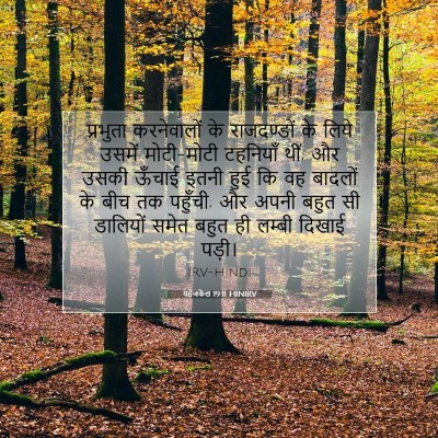 यहेजकेल 19:11 बाइबल आयत की व्याख्या