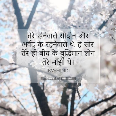 यहेजकेल 27:8 बाइबल आयत की व्याख्या