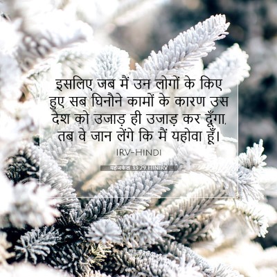 यहेजकेल 33:29 बाइबल आयत की व्याख्या