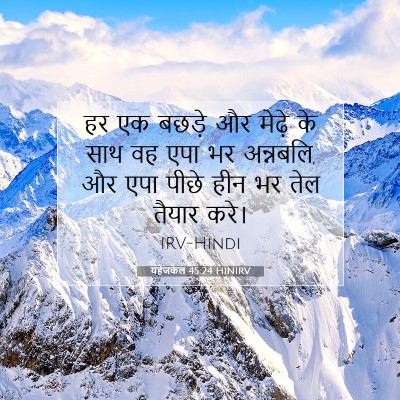 यहेजकेल 45:24 बाइबल आयत की व्याख्या