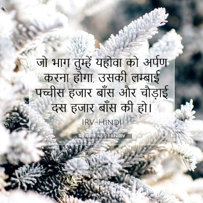 यहेजकेल 48:9 बाइबल आयत की व्याख्या