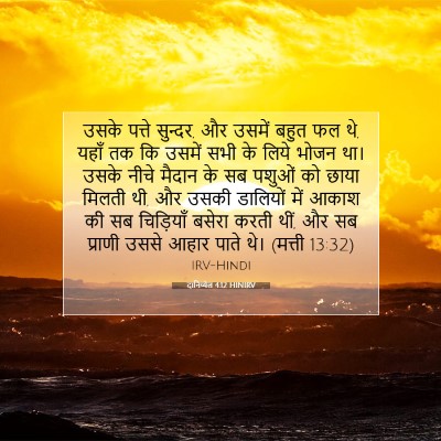 दानिय्येल 4:12 HINIRV बाइबल आयत इमेज