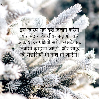 होशे 4:3 बाइबल आयत की व्याख्या
