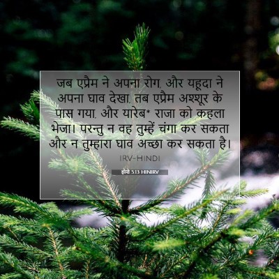 होशे 5:13 बाइबल आयत की व्याख्या