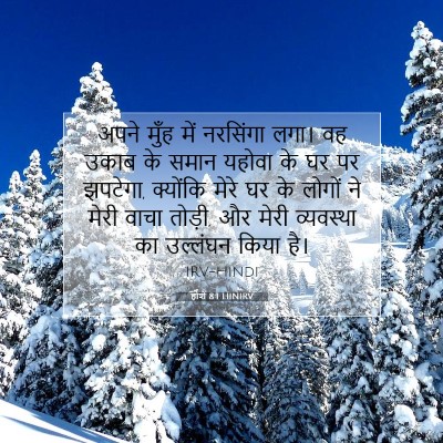 होशे 8:1 बाइबल आयत की व्याख्या