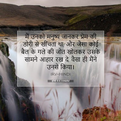 होशे 11:4 बाइबल आयत की व्याख्या