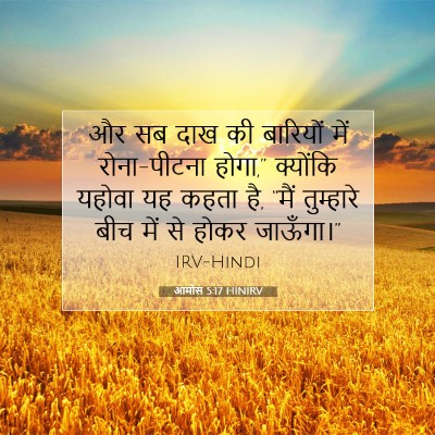 आमोस 5:17 HINIRV बाइबल आयत इमेज