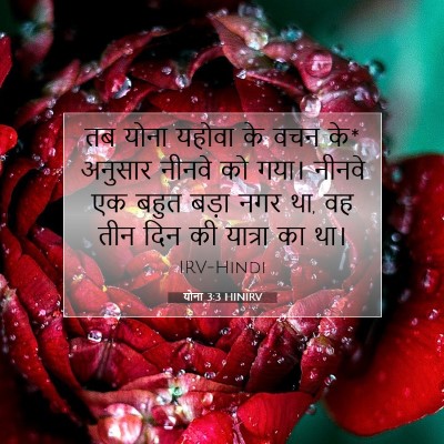 योना 3:3 HINIRV बाइबल आयत इमेज