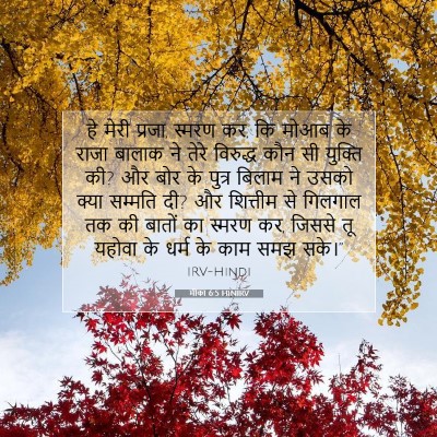 मीका 6:5 बाइबल आयत की व्याख्या