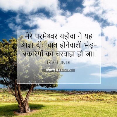 जकर्याह 11:4 HINIRV बाइबल आयत इमेज