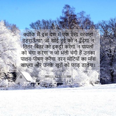 जकर्याह 11:16 HINIRV बाइबल आयत इमेज